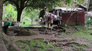 La fête de l'orange à Punaauia