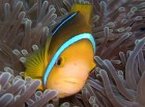 Un blog avec énormément d'informations sur la Polynésie, merci Marie-France