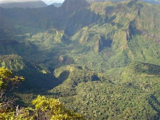 La montagne luxuriante de Tahiti et ses randonnées