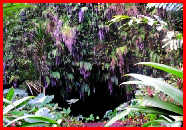 Le tour de l'île de Tahiti de Papeete au Marae de Arahurahu côte ouest Le tour de l'île de Tahiti de Papeete au Marae de Arahurahu côte ouest