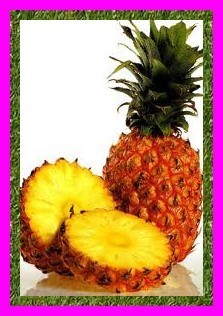 Les fruits, les légumes et plantes de Tahiti et ses îles Les fruits, les légumes et plantes de Tahiti et ses îles