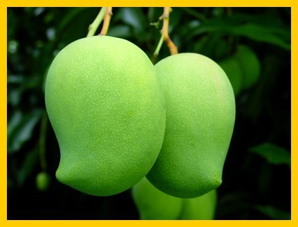 Les fruits, les légumes et plantes de Tahiti et ses îles Les fruits, les légumes et plantes de Tahiti et ses îles