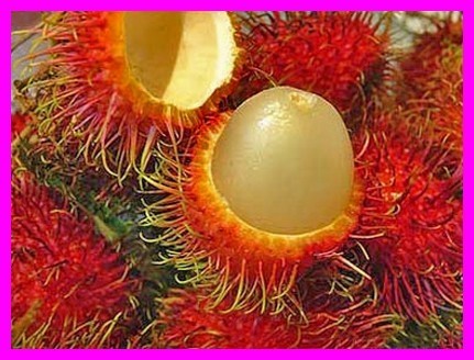 Les fruits, les légumes et plantes de Tahiti et ses îles Les fruits, les légumes et plantes de Tahiti et ses îles