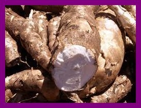 Les fruits, les légumes et plantes de Tahiti et ses îles Les fruits, les légumes et plantes de Tahiti et ses îles