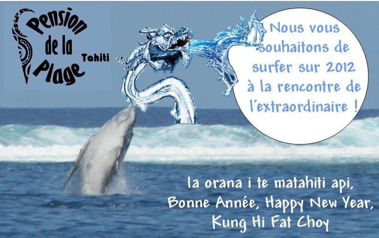 Bonne année 2012 ! Bonne année 2012 !