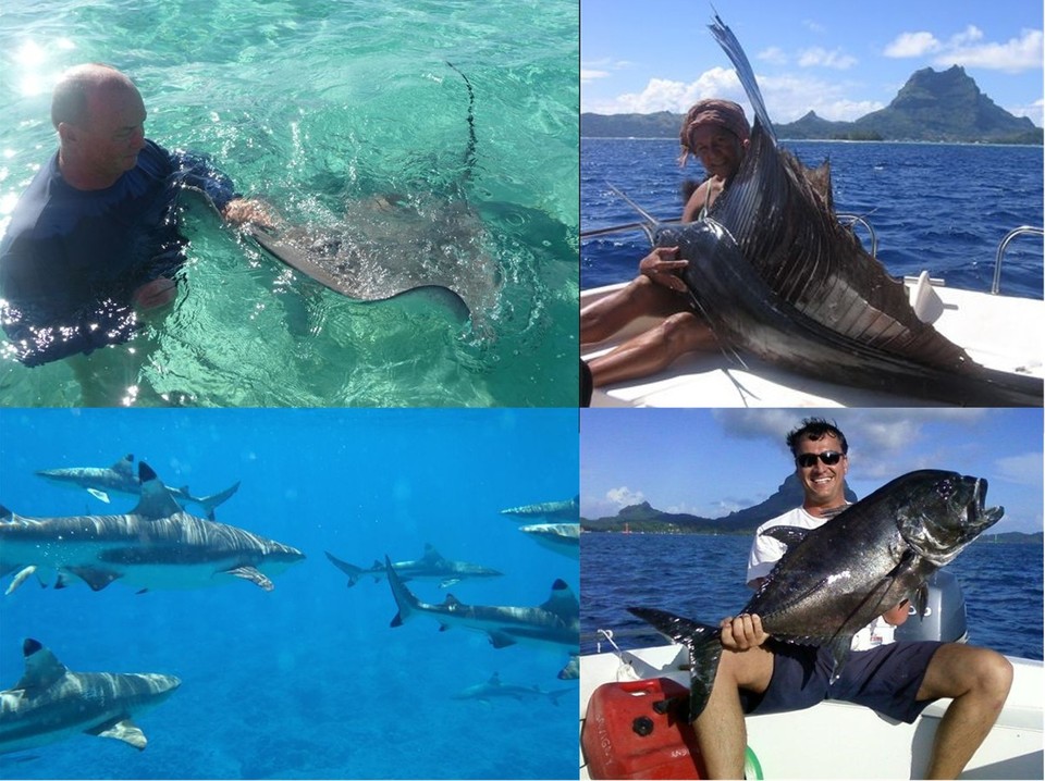 Offre découverte de Tahiti et Bora Bora Offre découverte de Tahiti et Bora Bora