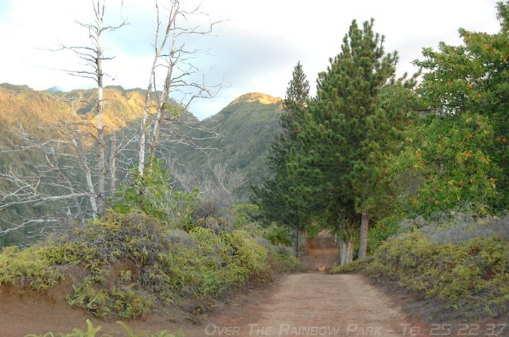 Over the rainbow park Over the rainbow park