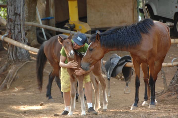 Over the rainbow park Over the rainbow park