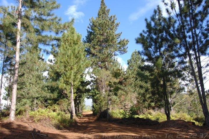Over the rainbow park Over the rainbow park