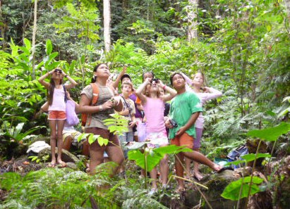 Activités sur l'île de Tahiti