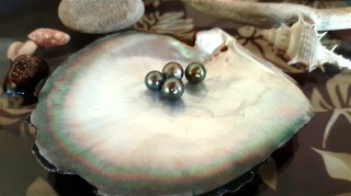 Activités sur les lagons de Tahiti Activités sur les lagons de Tahiti