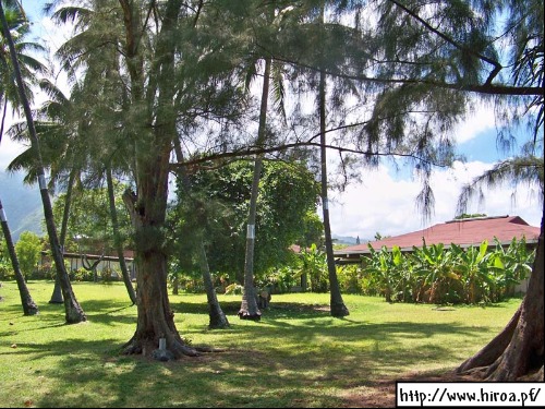 La 3 ème édition de "la nuit des musée" au Musée de Tahiti et des îles
