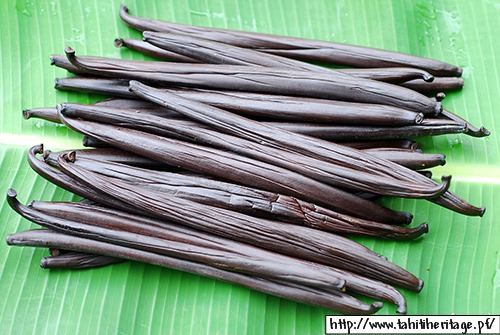 La vanille de Tahiti (Tahitian vanilla) La vanille de Tahiti (Tahitian vanilla)