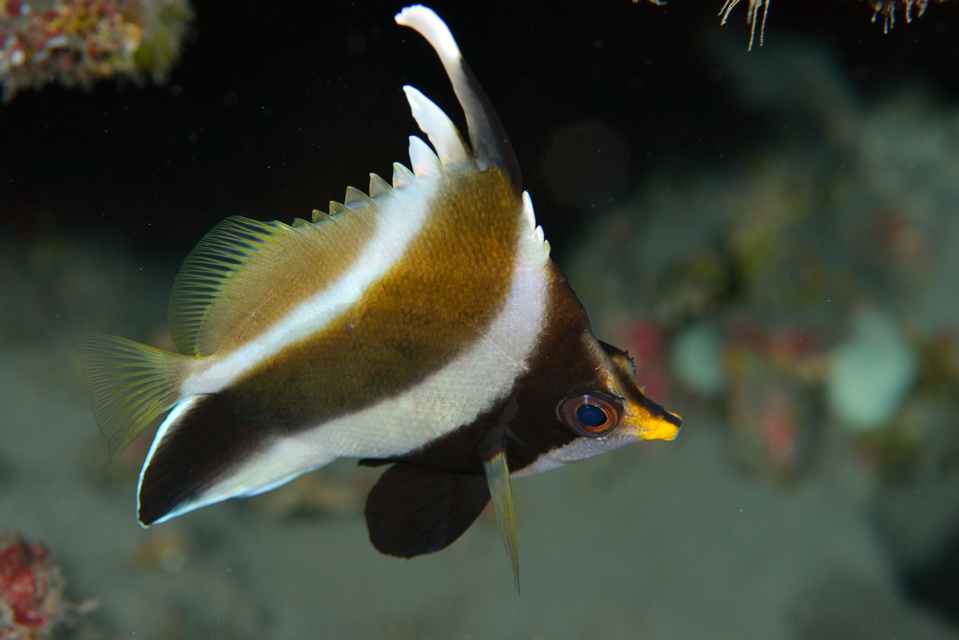 gracot@orange.fr gracot@orange.fr