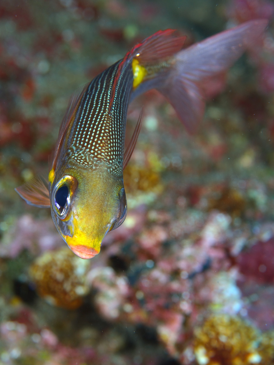 gracot@orange.fr gracot@orange.fr