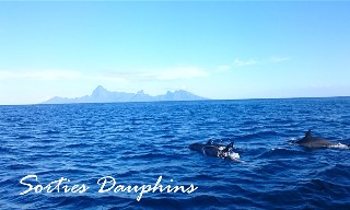 2017 - Offre hébergement + activité nautique sur Tahiti 2017 - Offre hébergement + activité nautique sur Tahiti