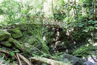 La montagne luxuriante de Tahiti et ses randonnées