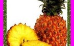 Les fruits, les légumes et plantes de Tahiti et ses îles