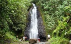 Activités sur l'île de Tahiti