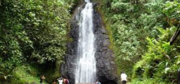 Activités sur l'île de Tahiti