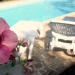 Relax bord piscine