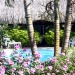 Piscine derrière les trois palmiers